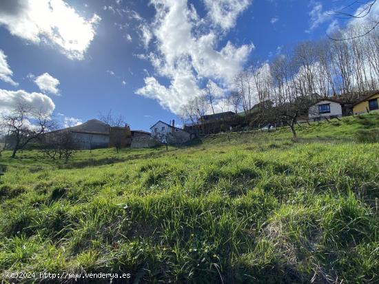 FINCA EDIFICABLE A 2,5 KM DE CANGAS DE ONIS - ASTURIAS