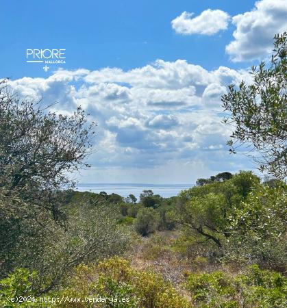 Primera linea al mar - BALEARES