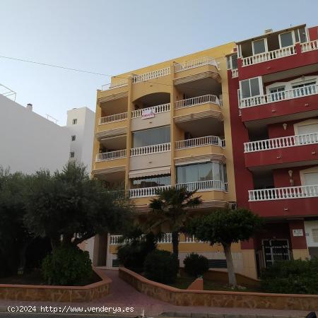  APARTAMENTO ATICO LA MATA - ALICANTE 