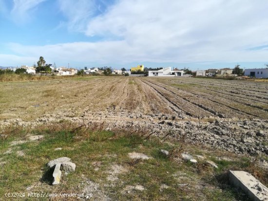  Suelo rústico en venta  en Sant Jaume d Enveja - Tarragona 