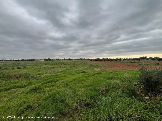  Suelo rústico en venta  en Cambrils - Tarragona 