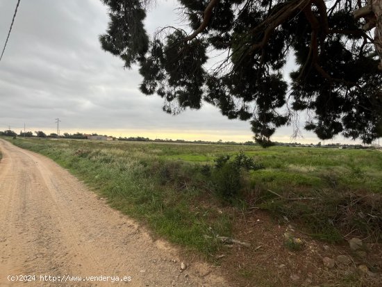 Suelo rústico en venta  en Cambrils - Tarragona