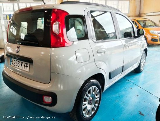 FIAT Panda en venta en Palma de Mallorca (Islas Baleares) - Palma de Mallorca