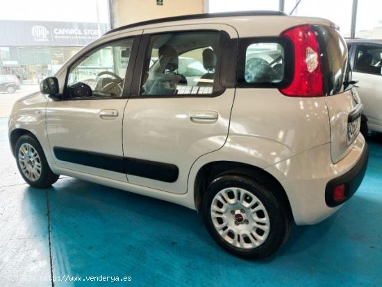 FIAT Panda en venta en Palma de Mallorca (Islas Baleares) - Palma de Mallorca