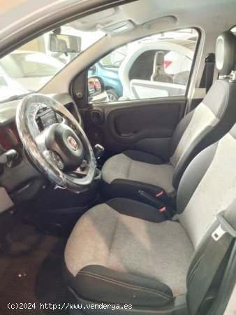 FIAT Panda en venta en Palma de Mallorca (Islas Baleares) - Palma de Mallorca