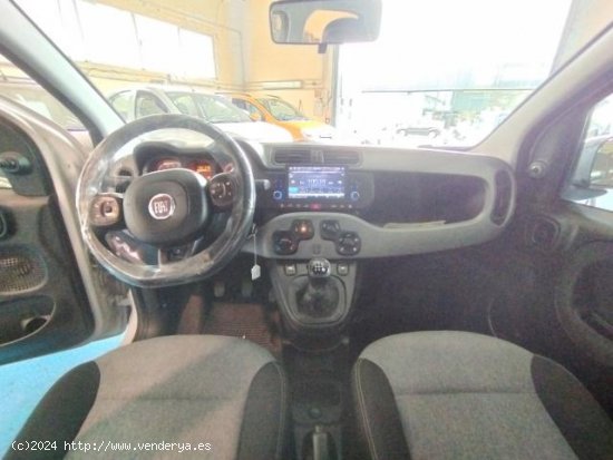 FIAT Panda en venta en Palma de Mallorca (Islas Baleares) - Palma de Mallorca