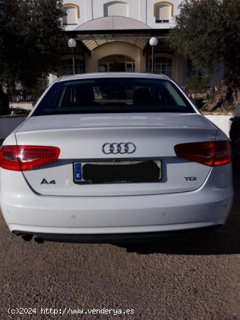 AUDI A4 en venta en Marchena (Sevilla) - Marchena