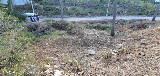 Terreno llano en Olivella, a punto para construir! - BARCELONA