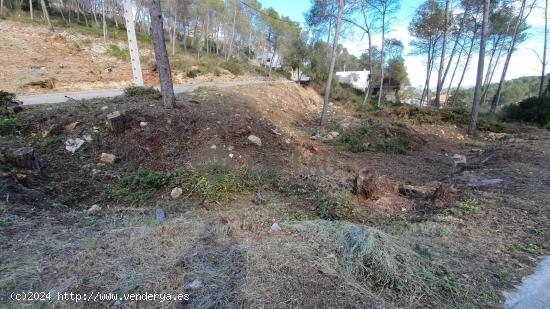 Terreno llano en Olivella, a punto para construir! - BARCELONA