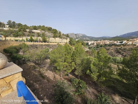 TERRENO DE 385 M2 EN LA NUCIA (IDEAL PARA HUERTO, PLANTAR ARBOLES FRUTALES..) - ALICANTE