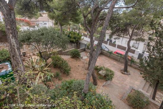 Parcela en Bellamar de 1865 m2 con construcción y piscina. - BARCELONA