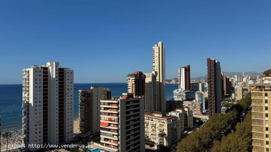 Apartamento en la avenida Mediterráneo con increíbles vistas! www.euroloix.com - ALICANTE