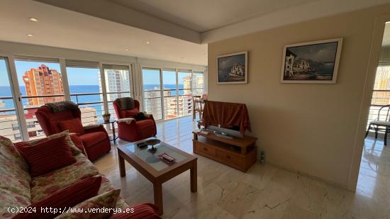 Apartamento en la avenida Mediterráneo con increíbles vistas! www.euroloix.com - ALICANTE