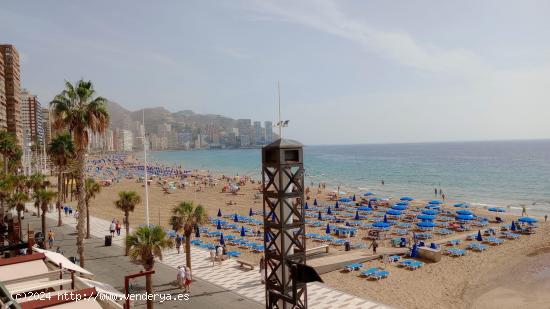  Precioso piso totalmente reformado con gran terraza en 1 Linea playa Levante. - ALICANTE 