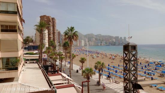 Precioso piso totalmente reformado con gran terraza en 1 Linea playa Levante. - ALICANTE