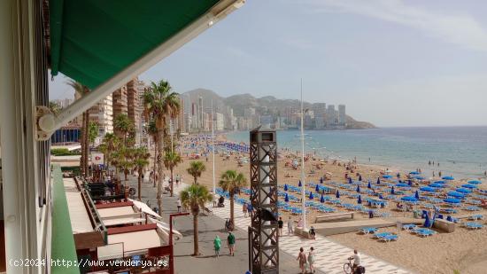 Precioso piso totalmente reformado con gran terraza en 1 Linea playa Levante. - ALICANTE