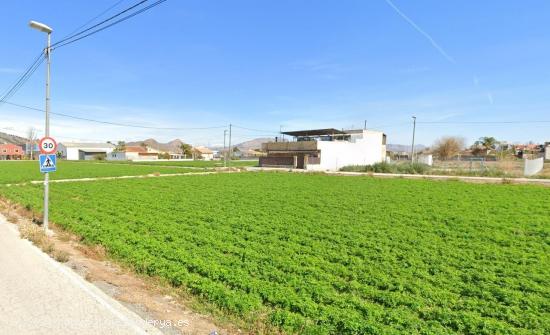 PARCELA RÚSTICA EN VENTA EN CASILLAS - MURCIA