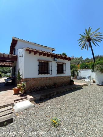 MARAVILLOSA FINCA EN ALORA - MALAGA