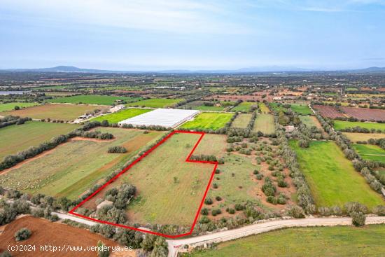 FINCA RÚSTICA CON CASA DE PIEDRA, ENTRE FELANITX Y PORRERES - BALEARES