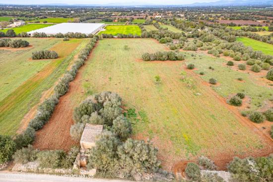 FINCA RÚSTICA CON CASA DE PIEDRA, ENTRE FELANITX Y PORRERES - BALEARES