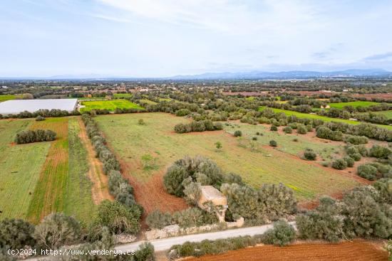 FINCA RÚSTICA CON CASA DE PIEDRA, ENTRE FELANITX Y PORRERES - BALEARES