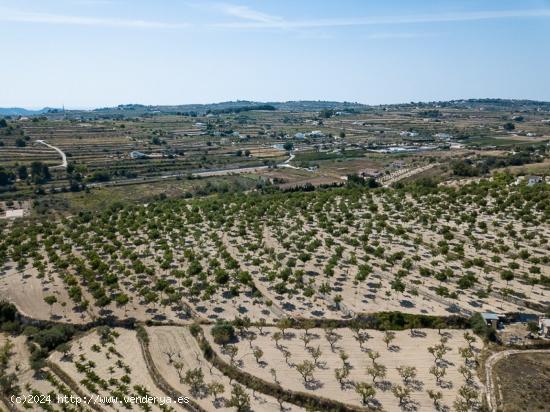 SUPER GRAN PARCELA RURAL PLANA CERCA DE BENISSA EN LA COSTA BLANCA EN ESPAÑA. - ALICANTE