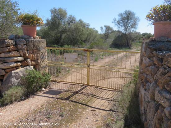 Finca rústica con edificaciones en venta Vallgornera Llucmajor - BALEARES