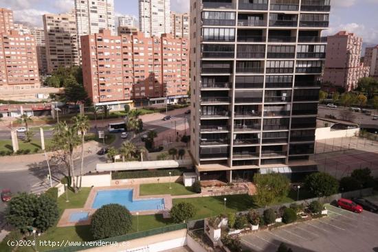 VENDEMOS APARTAMENTO EN BENIDORM TORRE IPANEMA - ALICANTE