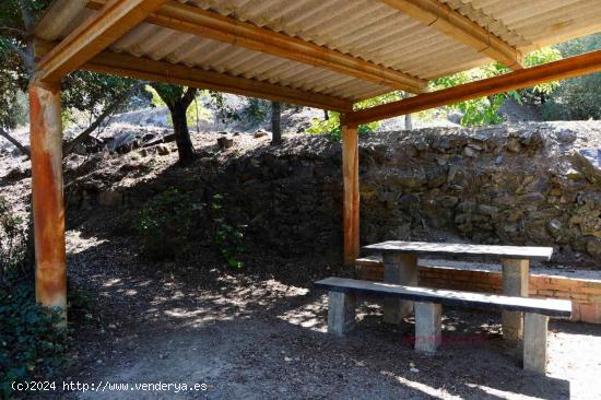 FINCA RUSTICA N LA SELVA DEL CAMP CON UNOS 6.000 M2, POZO PROPIO DE AGUA, 2º POZO COMPARTIDO - TARR