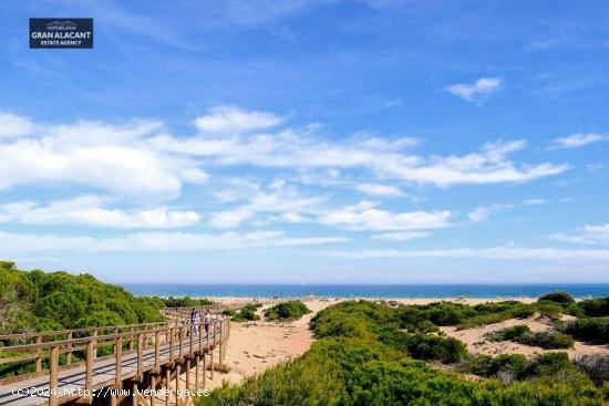 PARCELA URBANA EN HONDON DE LOS FRAILES - ALICANTE