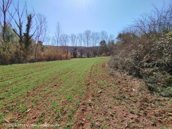  TERRENYS RUSTIC PER CONREAR I BOSC A FORAT D'EN PARE - BARCELONA 