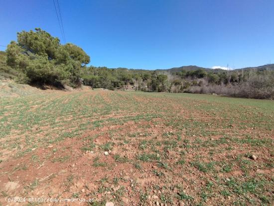 TERRENYS RUSTIC PER CONREAR I BOSC A FORAT D'EN PARE - BARCELONA