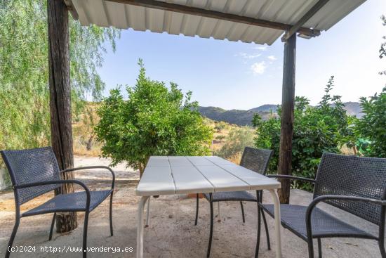 CASITA EN MONTES DE MALAGA - MALAGA