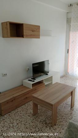  ALQUILER HABITACIONES CEUTI - MURCIA 