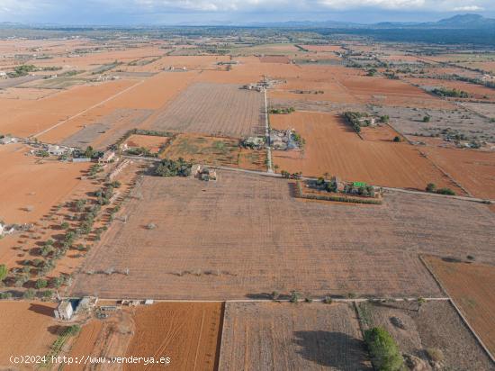  Terreno edificable en Santanyí - BALEARES 