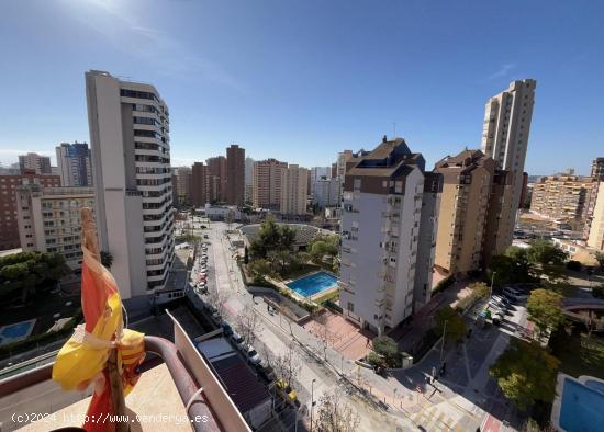 Ático de 5 dorm. en zona juzgados-Levante-Centro www.inmobiliarialesdunes.com - ALICANTE