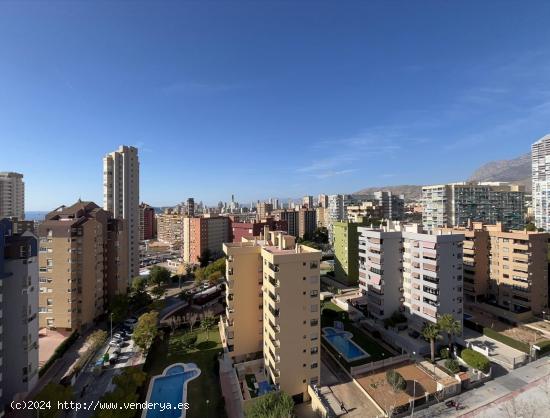 Ático de 5 dorm. en zona juzgados-Levante-Centro www.inmobiliarialesdunes.com - ALICANTE