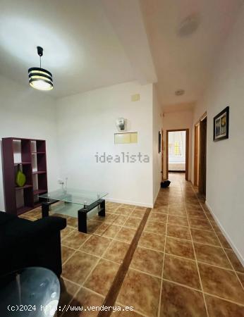 ALQUILER DE EXCELENTE VIVIENDA ZON GRAN TERRAZA ZONA SANTO DOMINGO - ALICANTE