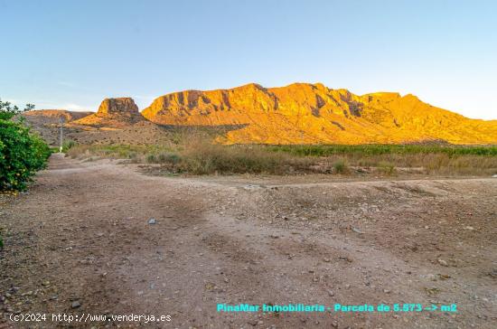 Parcela rústica en Santomera 5573 m2 - MURCIA