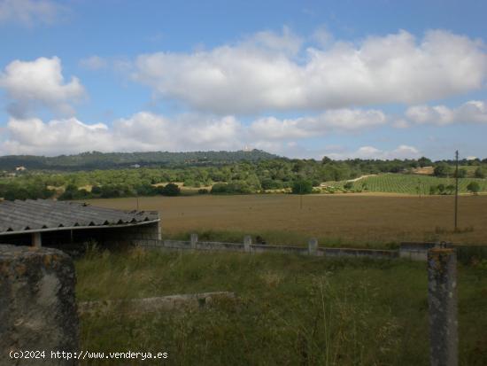 SE VENDE FINCA RÚSTICA CON CASAS ANTIGUAS PARA REFORMAR - BALEARES