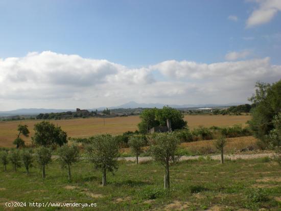 SE VENDE FINCA RÚSTICA CON CASAS ANTIGUAS PARA REFORMAR - BALEARES