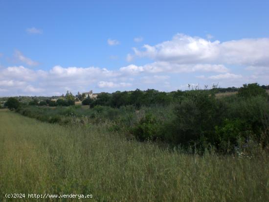 SE VENDE FINCA RÚSTICA CON CASAS ANTIGUAS PARA REFORMAR - BALEARES