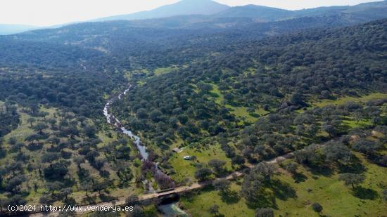  MAGNÍFICA FINCA RÚSTICA EN EXTREMADURA - CACERES 