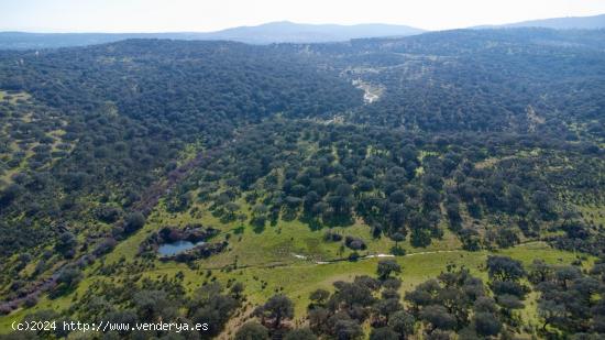 MAGNÍFICA FINCA RÚSTICA EN EXTREMADURA - CACERES