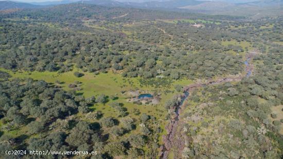 MAGNÍFICA FINCA RÚSTICA EN EXTREMADURA - CACERES