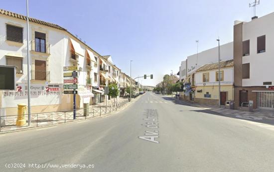  OFICINA EN PALMA DEL RIO - CORDOBA 