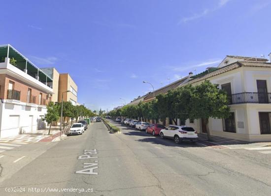  ADOSADO EN PALMA DEL RÍO - CORDOBA 