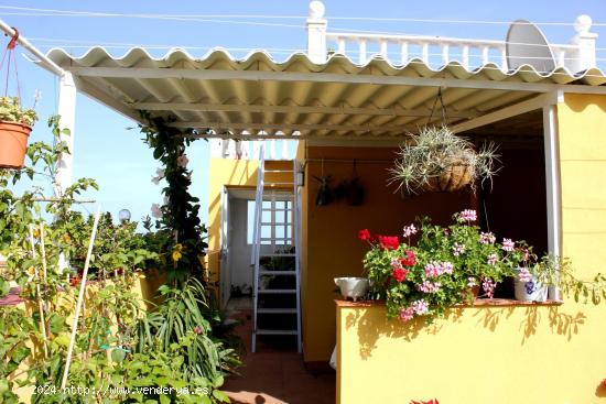  Casa recientemente restaurada, totalmente equipada - SANTA CRUZ DE TENERIFE 