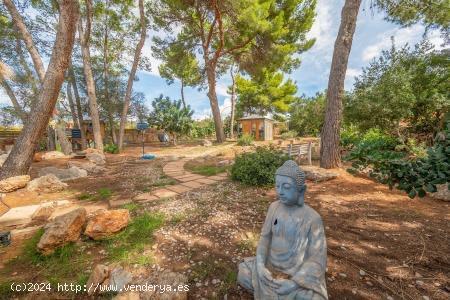 SOLAR PARA CONSTRUIR UNA VILLA DE LUJO EN MARRATXI - BALEARES