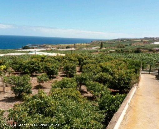 ¡Fantastica finca en BUENAVISTA DEL NORTE! - SANTA CRUZ DE TENERIFE